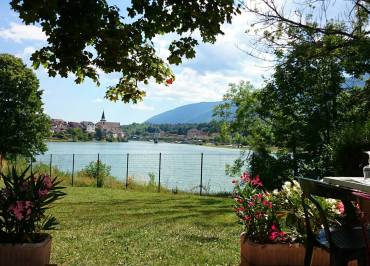 Camping du Haut-Rhône