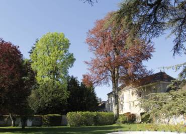 La maison d'hôtes et son parc