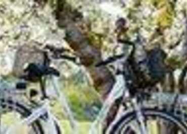 Sun-E-Bike: Bike rental at the campsite