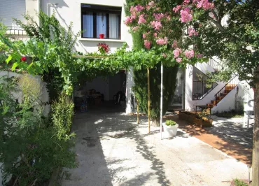 Avignonette