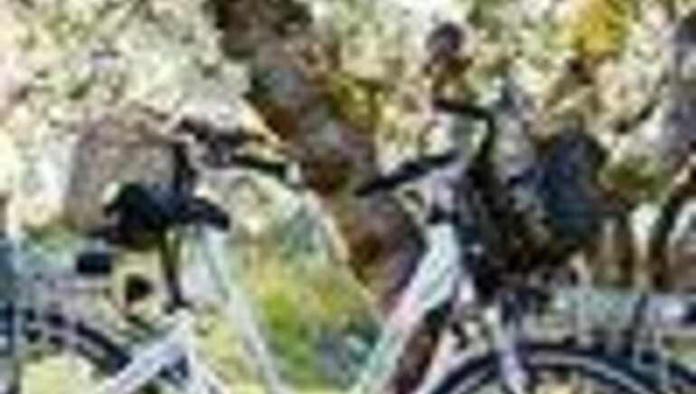 Sun-E-Bike: Bike rental at the campsite Sun-E-Bike: Bike rental at the campsite