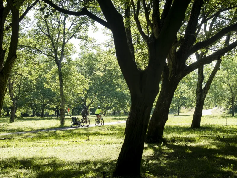 Le parc de Lorient à vélo