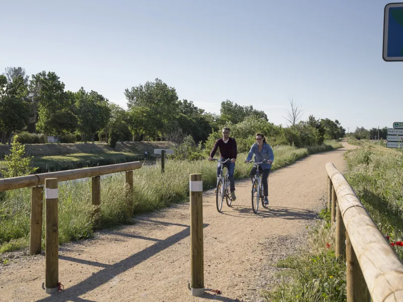 Voyageurs à vélo sur piste cyclable en Camargue