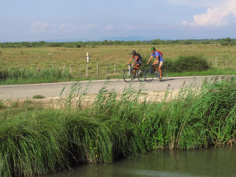 A travers les rizières à vélo