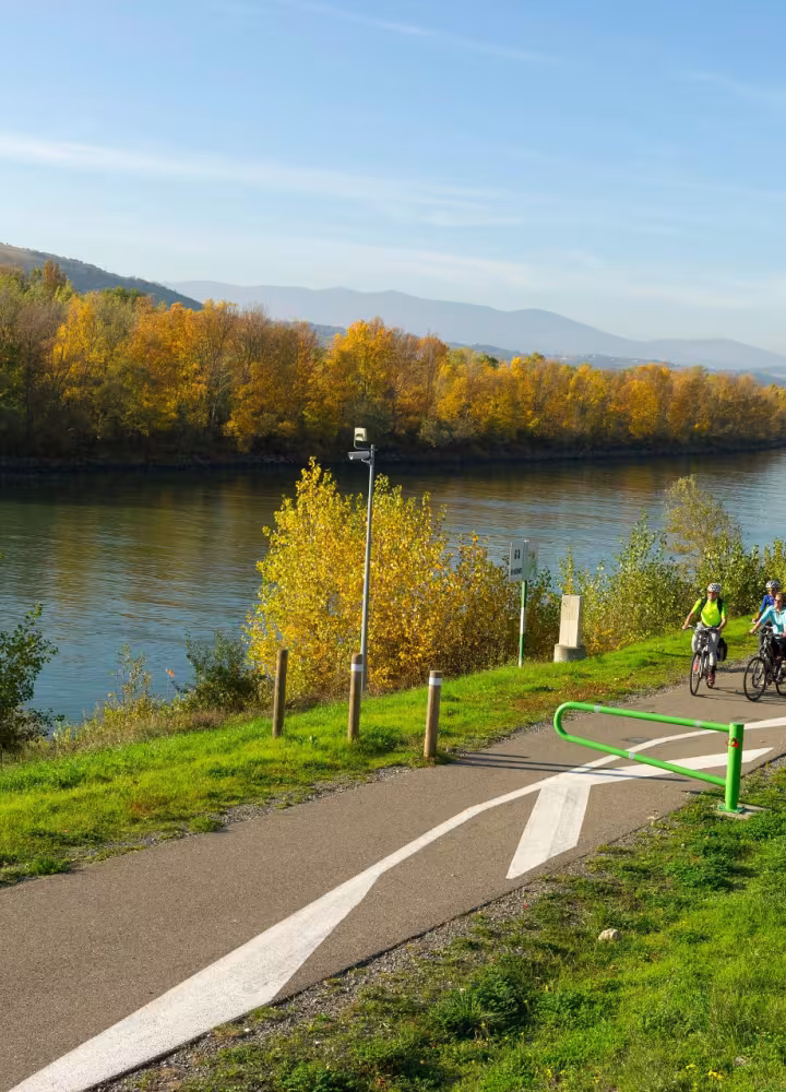 Bord du Rhône à vélo près d'Andancette