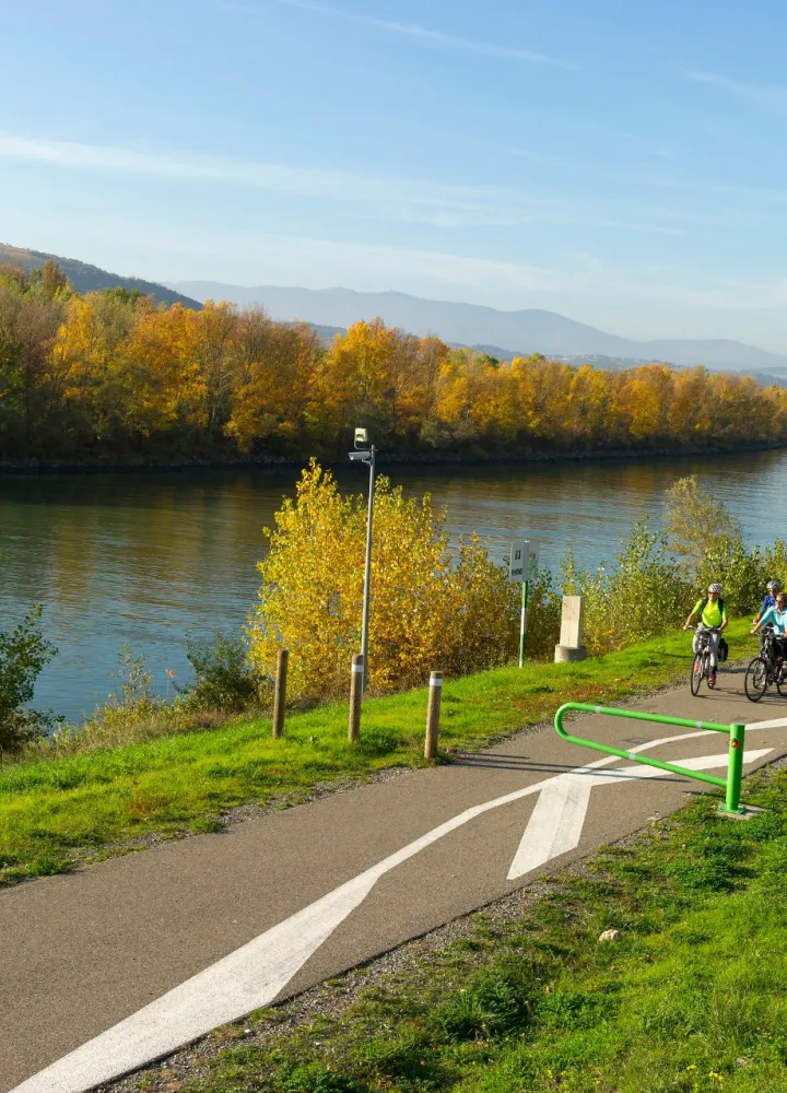 Bord du Rhône à vélo près d'Andancette