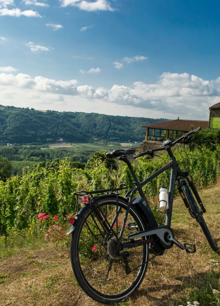 Le parc du Pilat : vue sur le Rhône