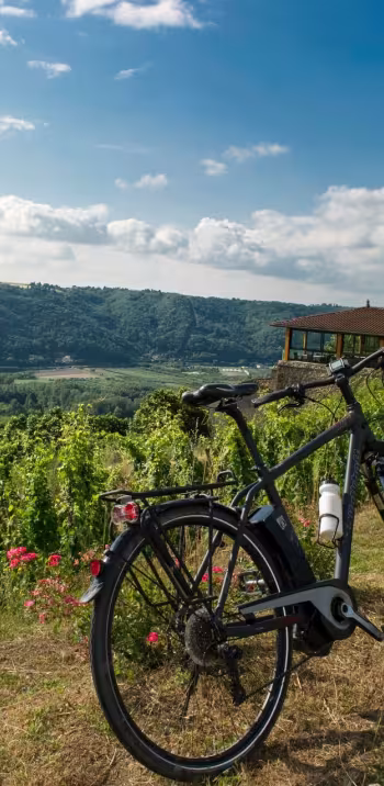 Le parc du Pilat : vue sur le Rhône