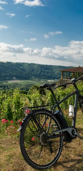 Le parc du Pilat : vue sur le Rhône