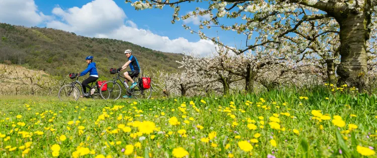 Cyclistes sur la ViaRhôna au printemps