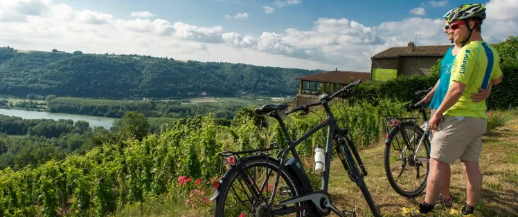Le parc du Pilat : vue sur le Rhône