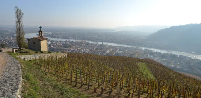 Vom Weinberg von Tain bis zu den tanzenden Felsen - Fahrradrundtour Nr. 9