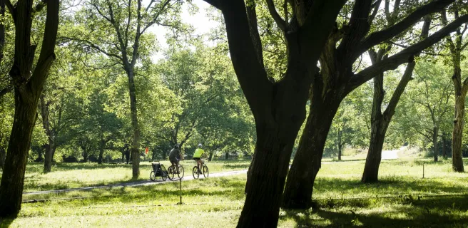 Le Parc de Lorient - Fahrradrundtour Nr. 2
