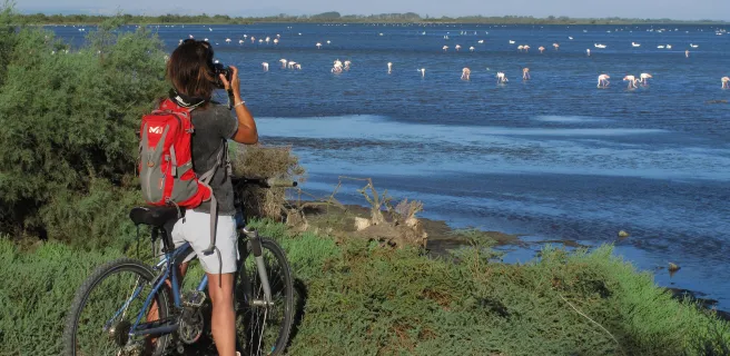  Entdeckung des Étang de Vaccarès