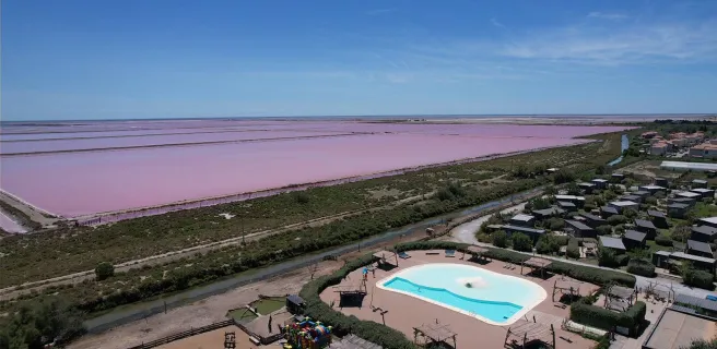 The Driftwood of Camargue