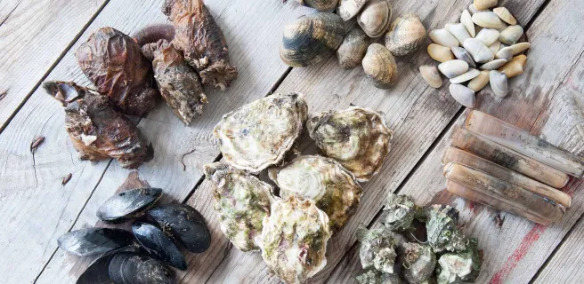 Coquillages