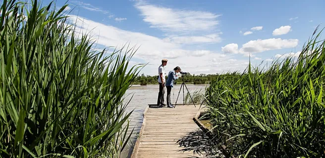 The marshes of the Vigueirat