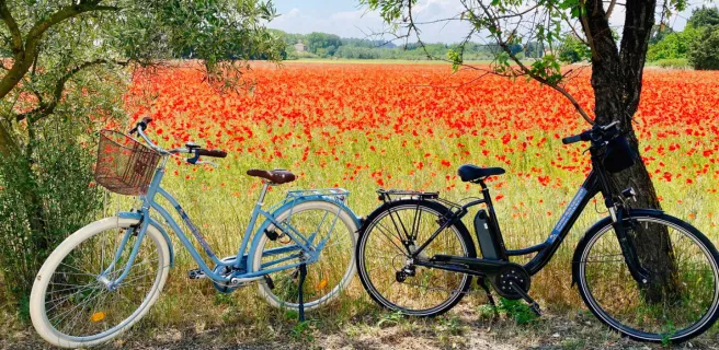 Orange Bike Via Rhôna