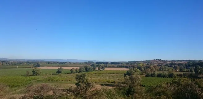 Camping Les Amandiers 3* à Castelnau de Guers - Fond-du-camping