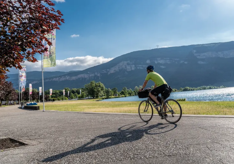 Cycliste sur ViaRhôna