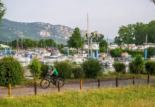 Cyclist on the ViaRhôna