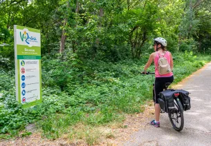 Cyclist on the ViaRhôna