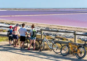 Cyclists in front of the salt marshes at Saintes-Maries-de-la-Mer