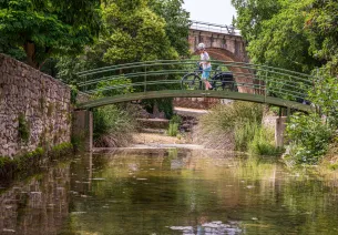 Cyclist on the ViaRhôna