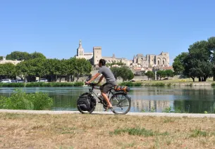 Avignon et la cité des papes