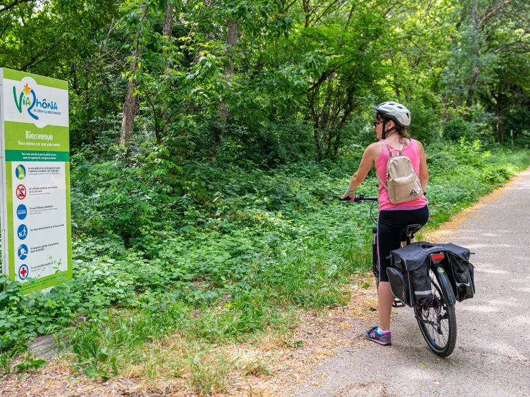 Cyclist on the  ViaRhôna