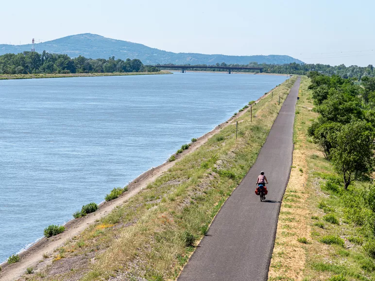 Cyclist with a view of the Rhône